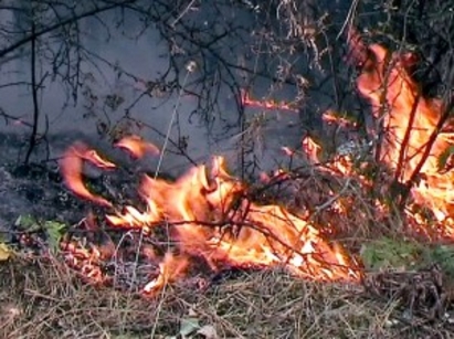 Жители на Евренозово гасиха пожар, изгоряха 8 декара треви