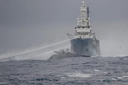 Кораб ще пази японските ловци на китове от еколози