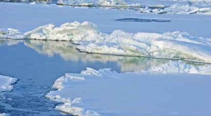 Арктика може да остане изцяло без лед до 2100 г.