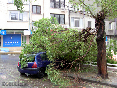 Потоп в Руен, повалени дървета цепят пътища в цялата Бургаска област