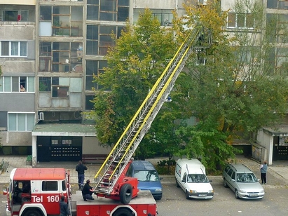 Пожарникари спасиха котка, „пленена” на дърво в комплекс "П.Р. Славейков"