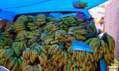 Заловиха нелегални имигранти край Бургас в камион с банани