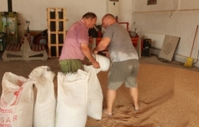 Задържаха прекупвачи на зърно в Бургас, източили  550 000 лева от ДДС