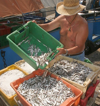 Нов шеф ще бори незаконния риболов на калкан и цаца