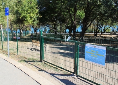 В Бургас през 2012 година кастритат кучета и котки наред