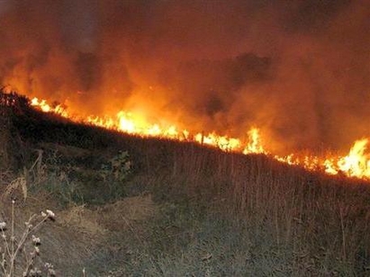 „Южно вино“ напуска Царево след унищожителния пожар