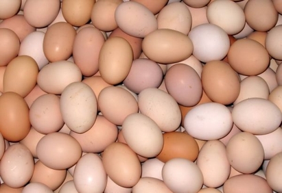 "Кауфланд" отнася 10 бона глоба, продавали яйца от неодобрени ферми