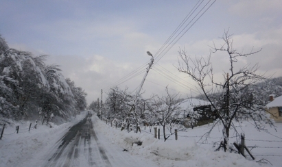 41 села в областта без ток или с нарушено захранване