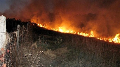 100 дка лозя изгоряха в Айтоско