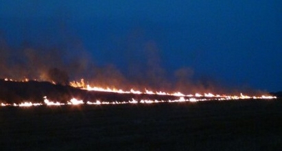 300 дка суха трева горя в Сунгурларско