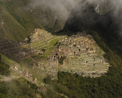 Древен лек на инките ще направи упойките излишни