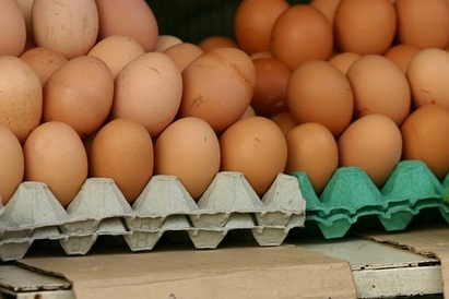 Най-много са поскъпнали яйцата на борсите в Бургас