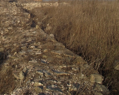 Спипаха иманяри край византийска крепост в Руенско