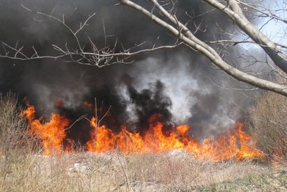 Пожар вилня в сметището на Гробищния парк в Бургас