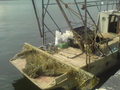 Агенциите по рибарство на България и Румъния ще контролират заедно в граничните води