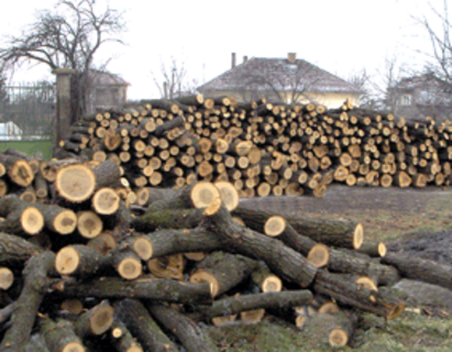 С по-евтини дърва ще се топлят в Малко Търново другата зима