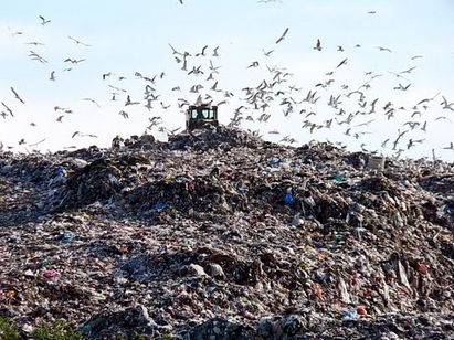 Поморийци ще изчистят боклуците от общината на 12 май (График)
