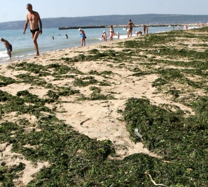 Смрад в Равда, фекалии отново посрещат туристите на плажа