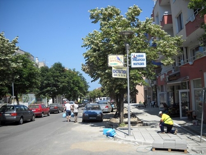 Хората бранят от кмета Лапчев липите в Царево, той мина в нелегалност