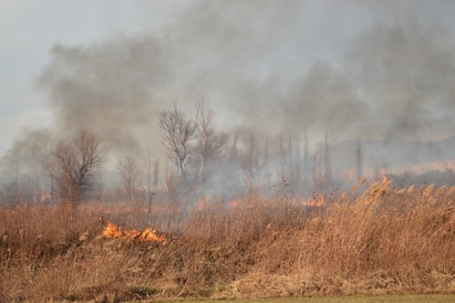 Пожар вилня из местността Сарахана край Сунгурларе