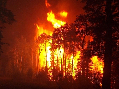 Пишман геолог подпали гората в Руенско с горелка и газова бутилка
