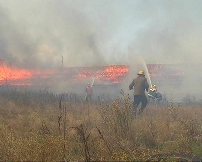 Цяло село варди тази нощ гората в Руенско