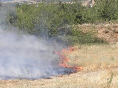 Обявяват бедствено положение в Несебър и Поморие, пожарът се разгаря