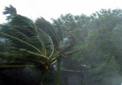 Тайфун погуби над 27 души във Виетнам