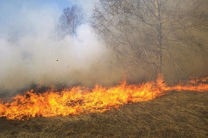 400 дка земя изгоря край склада на "Промет" в Дебелт