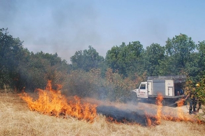 Пожар избухна в Странджа, гори широколистна гора край Средец