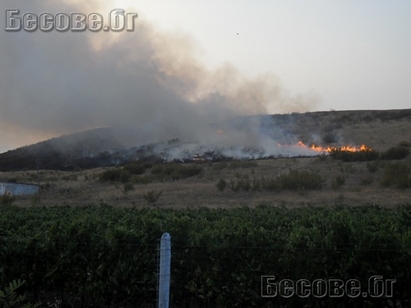 Пожар изпепели 500 дка растителност в Сунгурларско