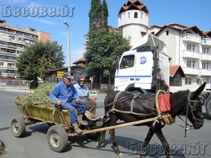 Умни глави! Европейците от ГЕРБ-Айтос ще вдигат каруци с паяк