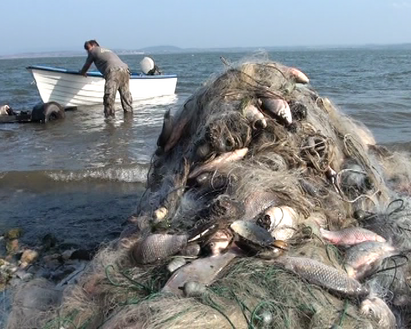 Бракониери изнасят нелегално рибата от Мандра за Румъния