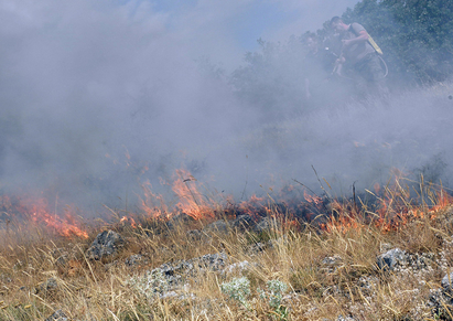 Пожар гори край гробищата в Бургас
