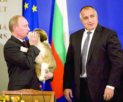 Кучето от Бойко Борисов герой в акция за пенсионирането на Владимир Путин