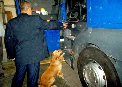 Кучето Рон откри нелегални цигари в ТИР със стафиди