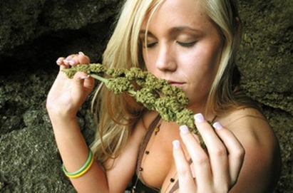 Легализираха марихуаната в Колорадо и Вашингтон