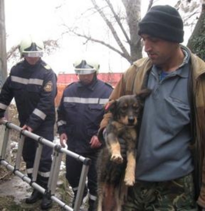Два дни спасители вадят куче, заклещено в жилищен блок
