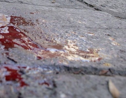 Помляха младо момче при масов бой в София