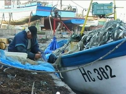 Влиза в сила забраната за улов на пасажни риби в Черно море