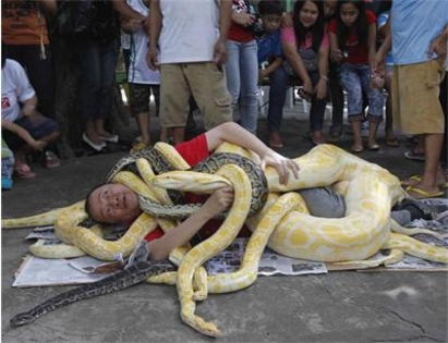 Китайски астролози: Годината на Змията ще бъде “отровна”