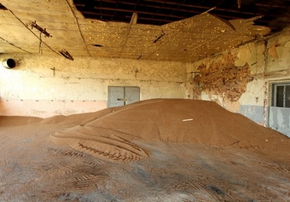 4 тона ечемик изчезнаха от созополско село