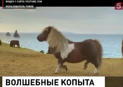 Танцуващо пони завладява Интернет              (ВИДЕО)