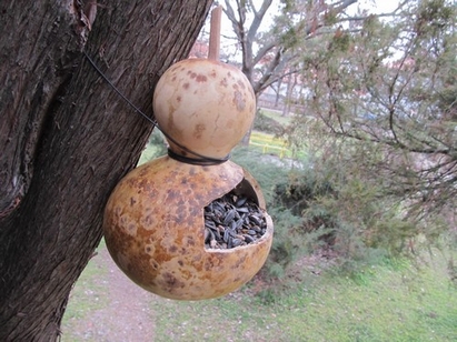 Младежи от Българово правят хранилки за птиците през зимата