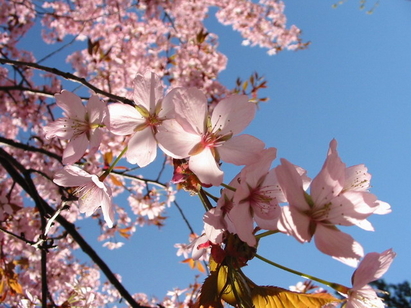 Пролетта пукна, местим часовника напред на 31 март