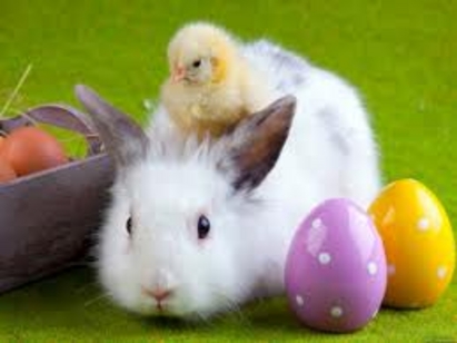 Великденски заек и парад на яйцето ще оживят Бургас, вижте програмата