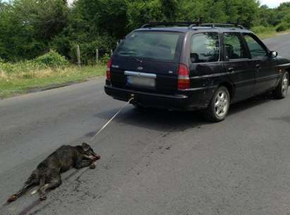 Райчо Иванов разказа как убил кучето, съдията се разплака