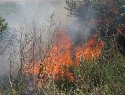 Голям пожар вилнее край Шилото, пет коли гасят огъня
