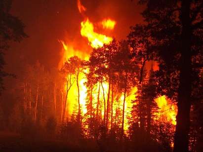 Арестуваха 63-годишен, подпалил гората край „Меден рудник”