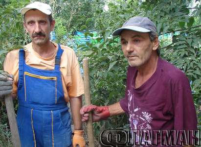 Разярени пчели нахапаха работници от бургаска печатница, двама в болница